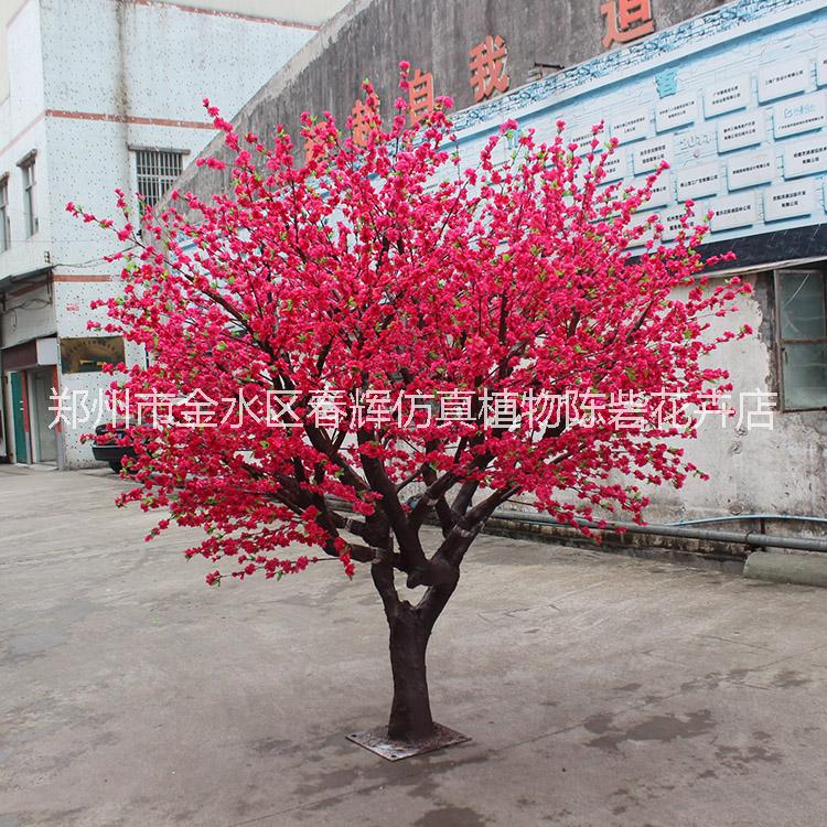 仿真植物圖片/仿真植物樣板圖 (3)