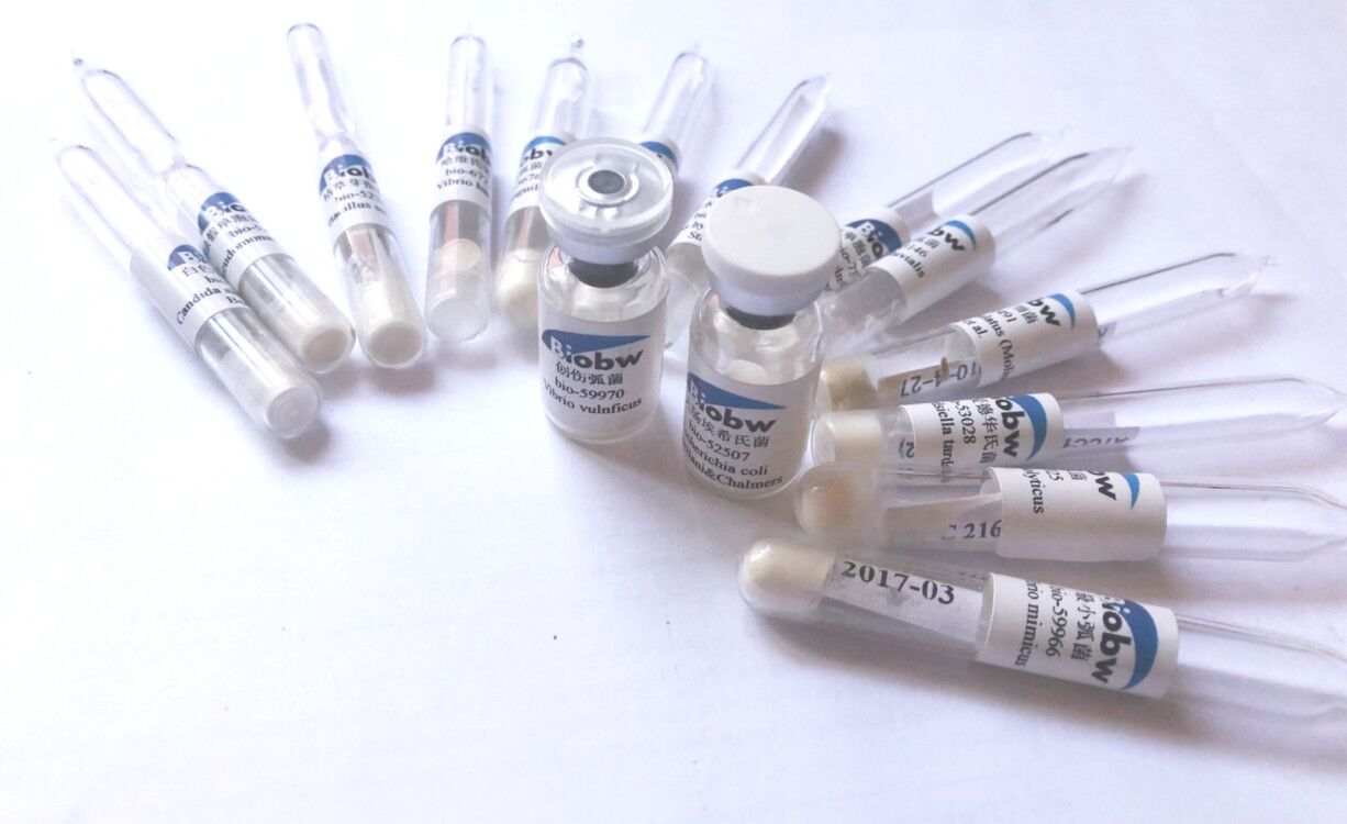 菌種購買 ATCC11386近玫色鎖擲孢酵母 ATCC菌種中文官網(wǎng)