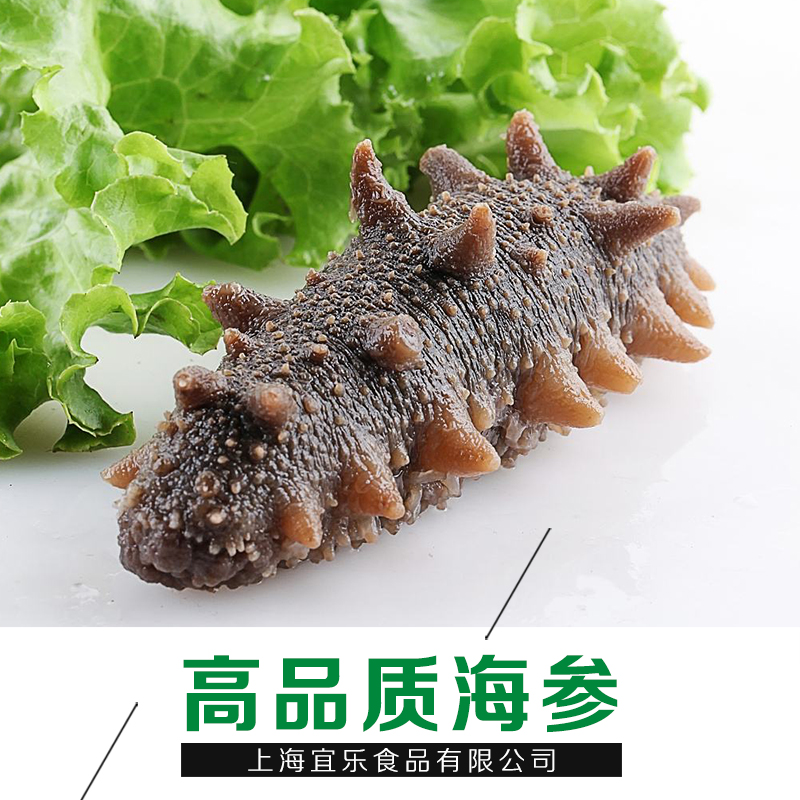 廣東鮑魚圖片/廣東鮑魚樣板圖 (4)