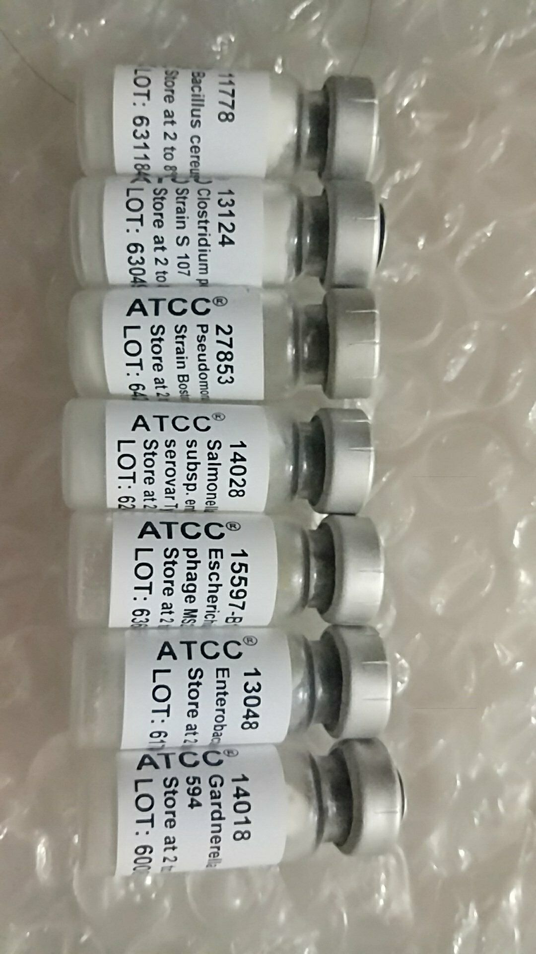 希瓦氏菌 ATCC菌種 中國微生物菌種查詢網(wǎng) 質粒菌種保藏