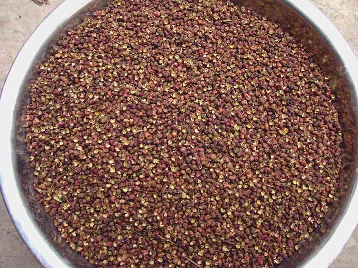 花椒圖片/花椒樣板圖 (2)