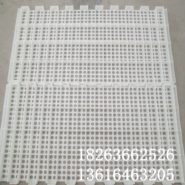 漏糞地板圖片/漏糞地板樣板圖 (4)