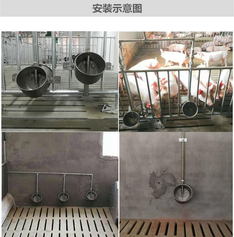 豬用飲水碗圖片/豬用飲水碗樣板圖 (4)