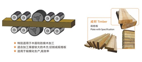 福建多片鋸圖片/福建多片鋸樣板圖 (2)