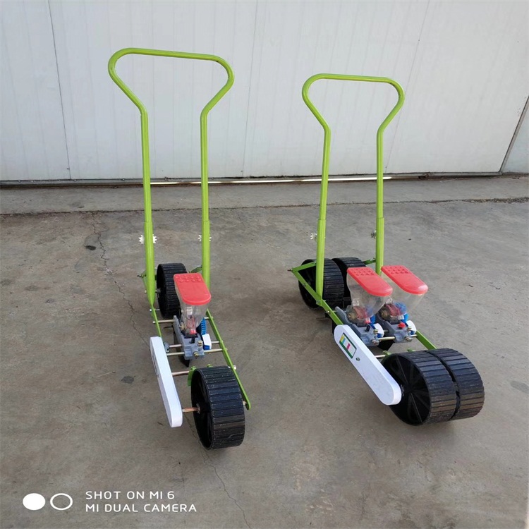 蔬菜種子圖片/蔬菜種子樣板圖 (2)