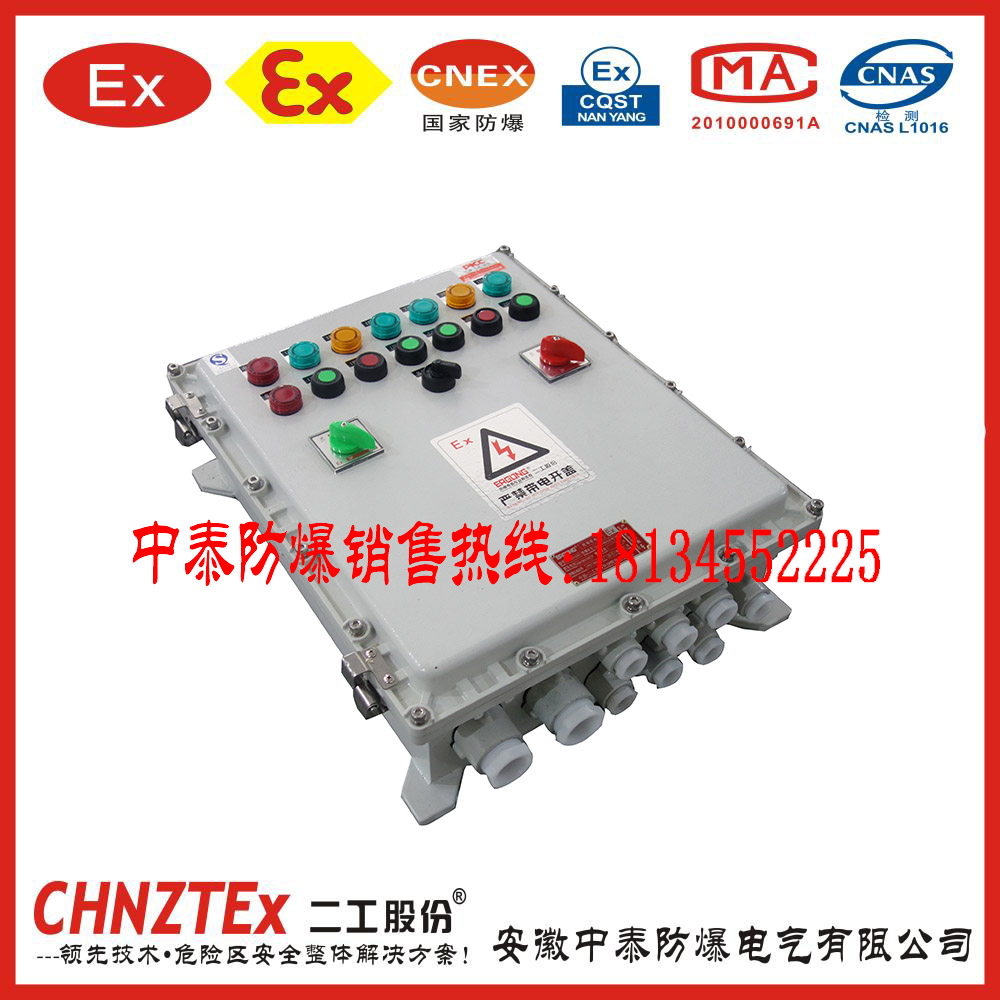 防爆控制箱、防爆配電箱圖片/防爆控制箱、防爆配電箱樣板圖 (4)