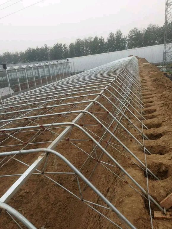 節(jié)能日光溫室圖片/節(jié)能日光溫室樣板圖 (1)