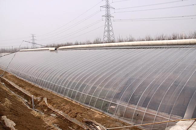 節(jié)能日光溫室圖片/節(jié)能日光溫室樣板圖 (2)