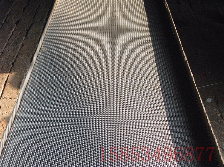 不銹鋼人形網(wǎng)帶圖片/不銹鋼人形網(wǎng)帶樣板圖 (1)