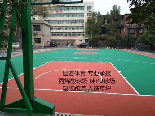 羽毛球場材料圖片/羽毛球場材料樣板圖 (2)