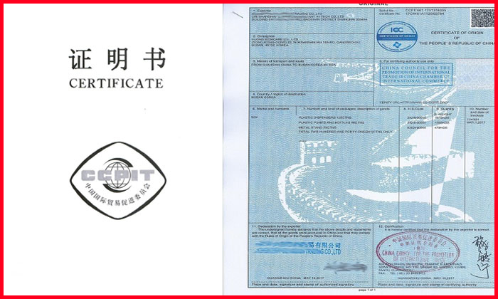 阿根廷報(bào)關(guān)單圖片/阿根廷報(bào)關(guān)單樣板圖 (1)