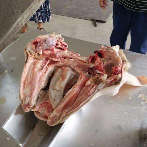 液壓豬頭劈半機(jī)圖片/液壓豬頭劈半機(jī)樣板圖 (2)