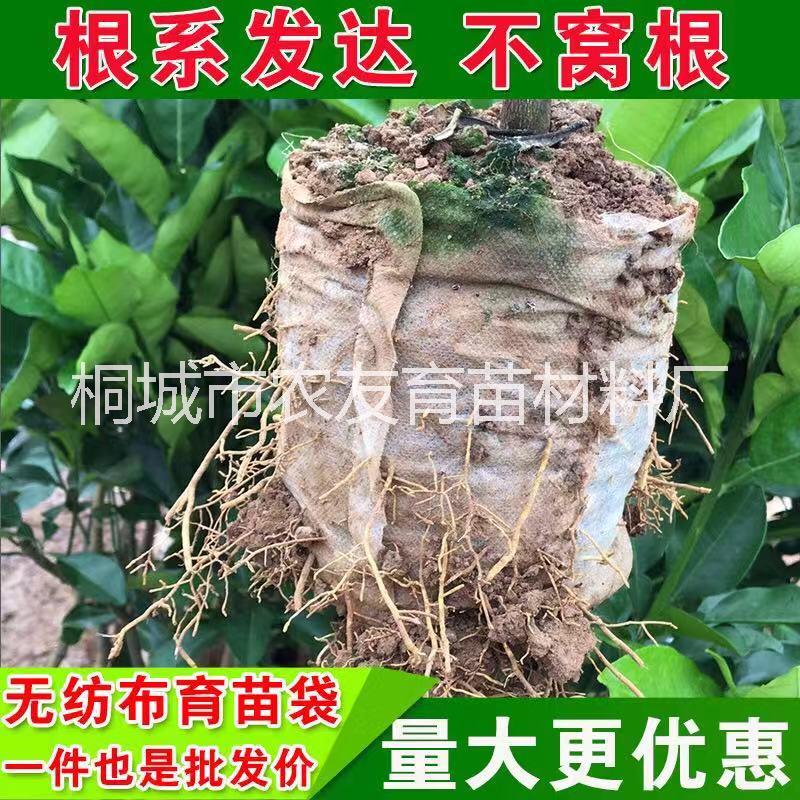 無(wú)紡布容器袋圖片/無(wú)紡布容器袋樣板圖 (3)