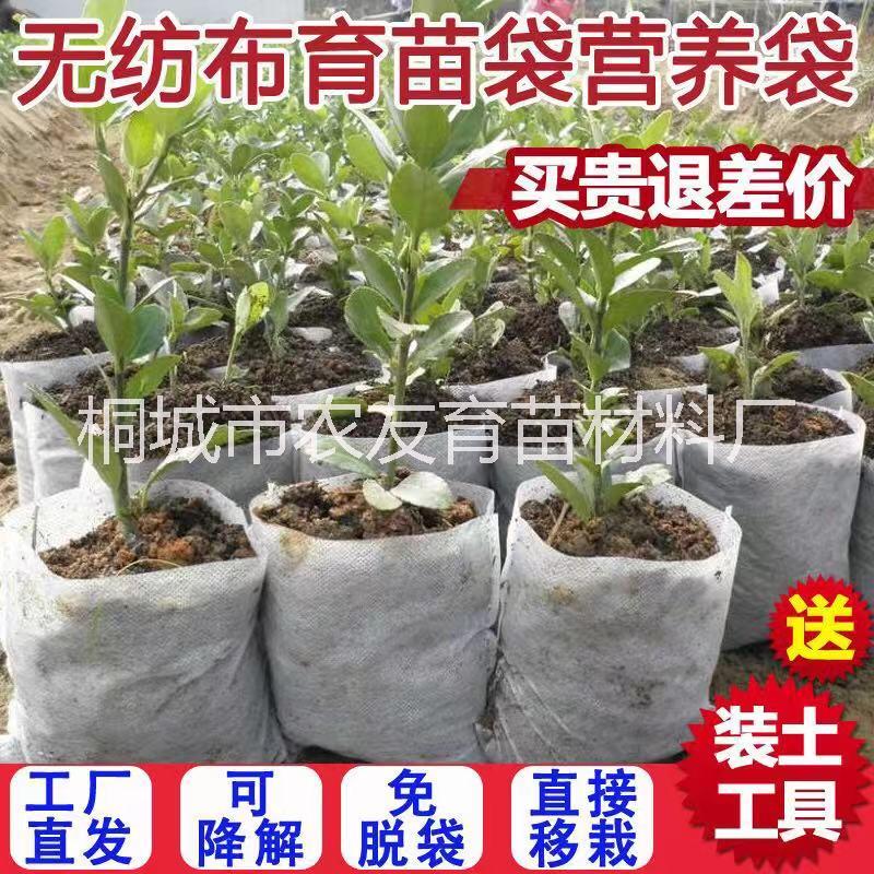 可降解無紡布圖片/可降解無紡布樣板圖 (4)