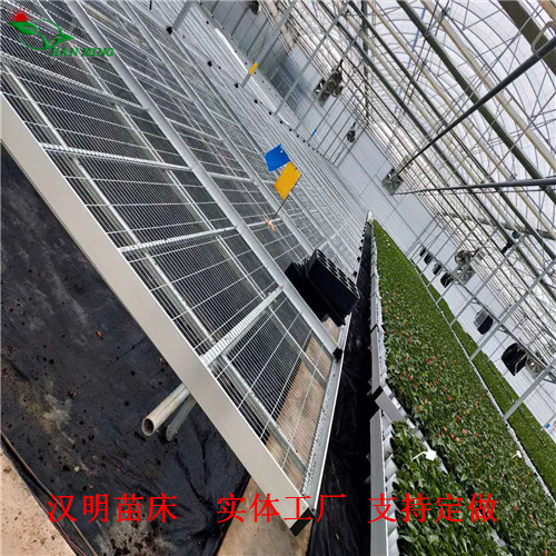 苗床圖片/苗床樣板圖 (4)