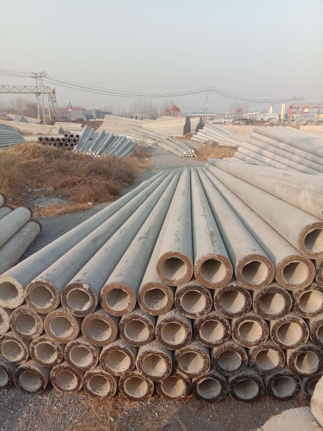 電桿圖片/電桿樣板圖 (3)