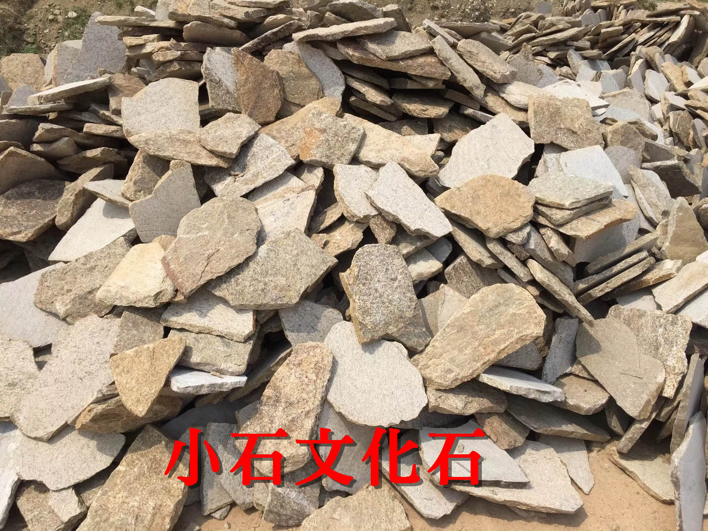 虎皮黃圖片/虎皮黃樣板圖 (2)