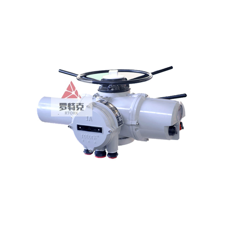 羅托克電動執(zhí)行器IA18圖片