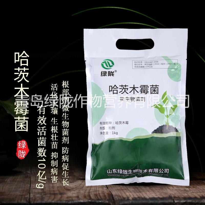 哈茨木霉菌 防病促生长 生物肥料