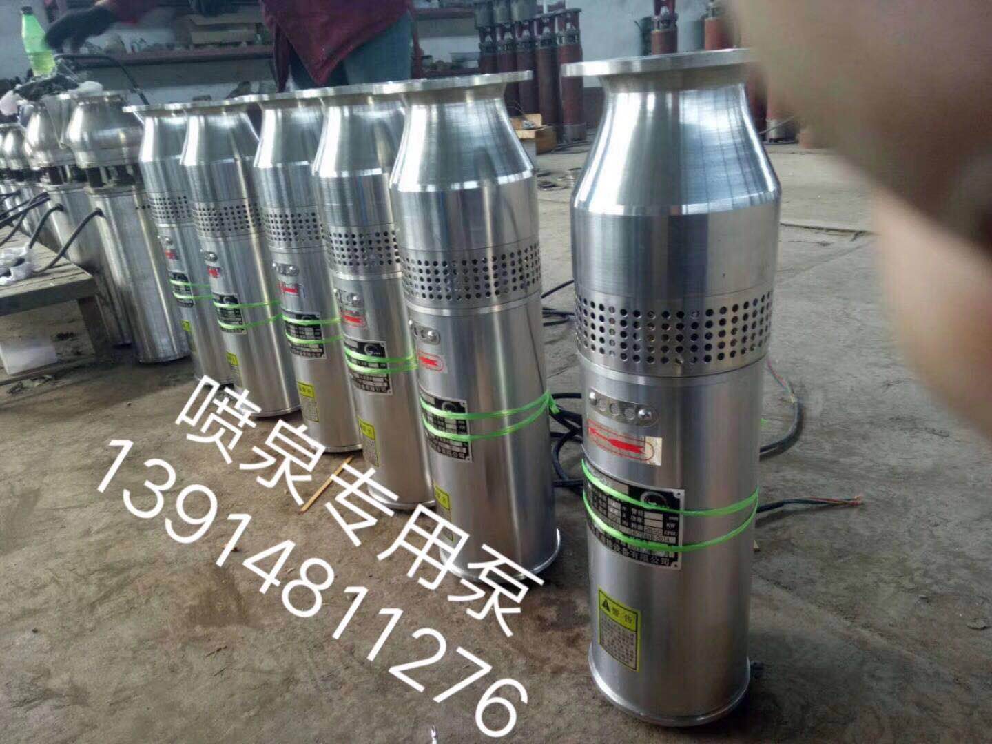 噴泉專用潛水泵圖片/噴泉專用潛水泵樣板圖 (3)
