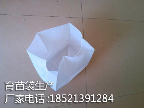 植物育苗圖片/植物育苗樣板圖 (2)