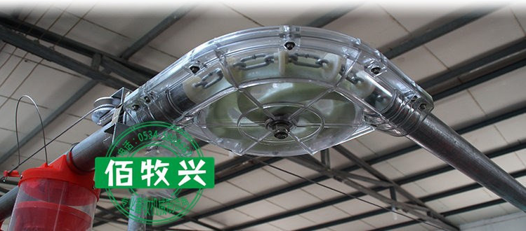 豬場圖片/豬場樣板圖 (4)