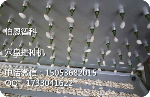 南瓜玉米西瓜苦瓜育苗播種機 點籽圖片/南瓜玉米西瓜苦瓜育苗播種機 點籽樣板圖 (1)