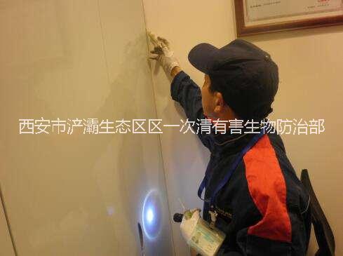 西安專業(yè)捕鼠公司西安滅蟑螂公司