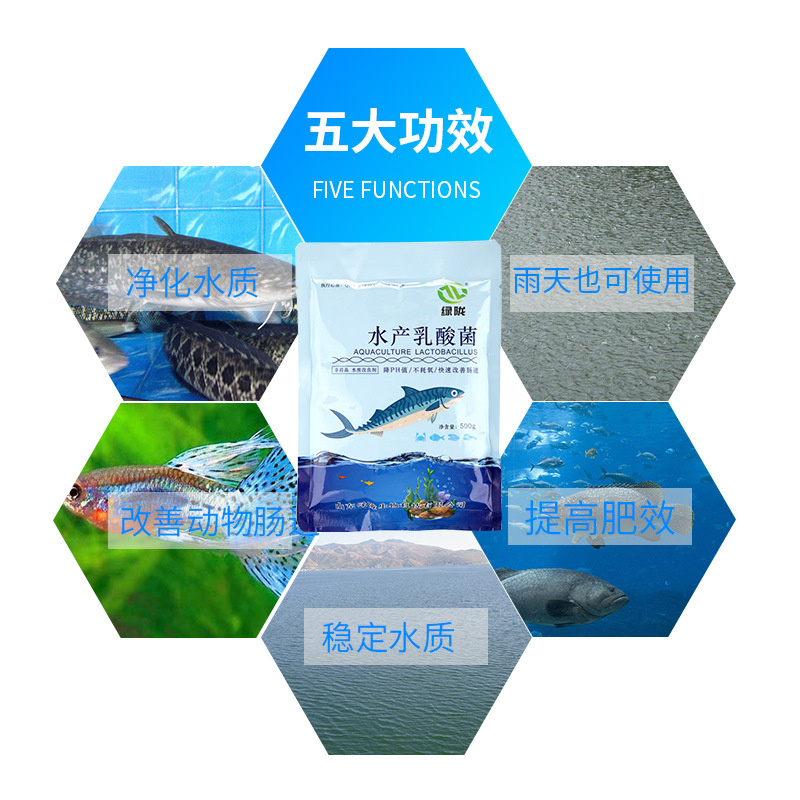 水質改良劑圖片/水質改良劑樣板圖 (3)