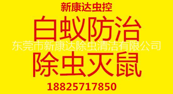 工厂家庭白蚁防治写字楼杀虫灭鼠 白蚁防治杀虫灭鼠杀虫灭鼠 专业从事白蚁防治消杀除四害园林绿化虫害控图片