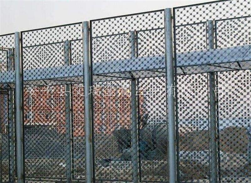 場地梅花刺圍網(wǎng)圖片/場地梅花刺圍網(wǎng)樣板圖 (3)