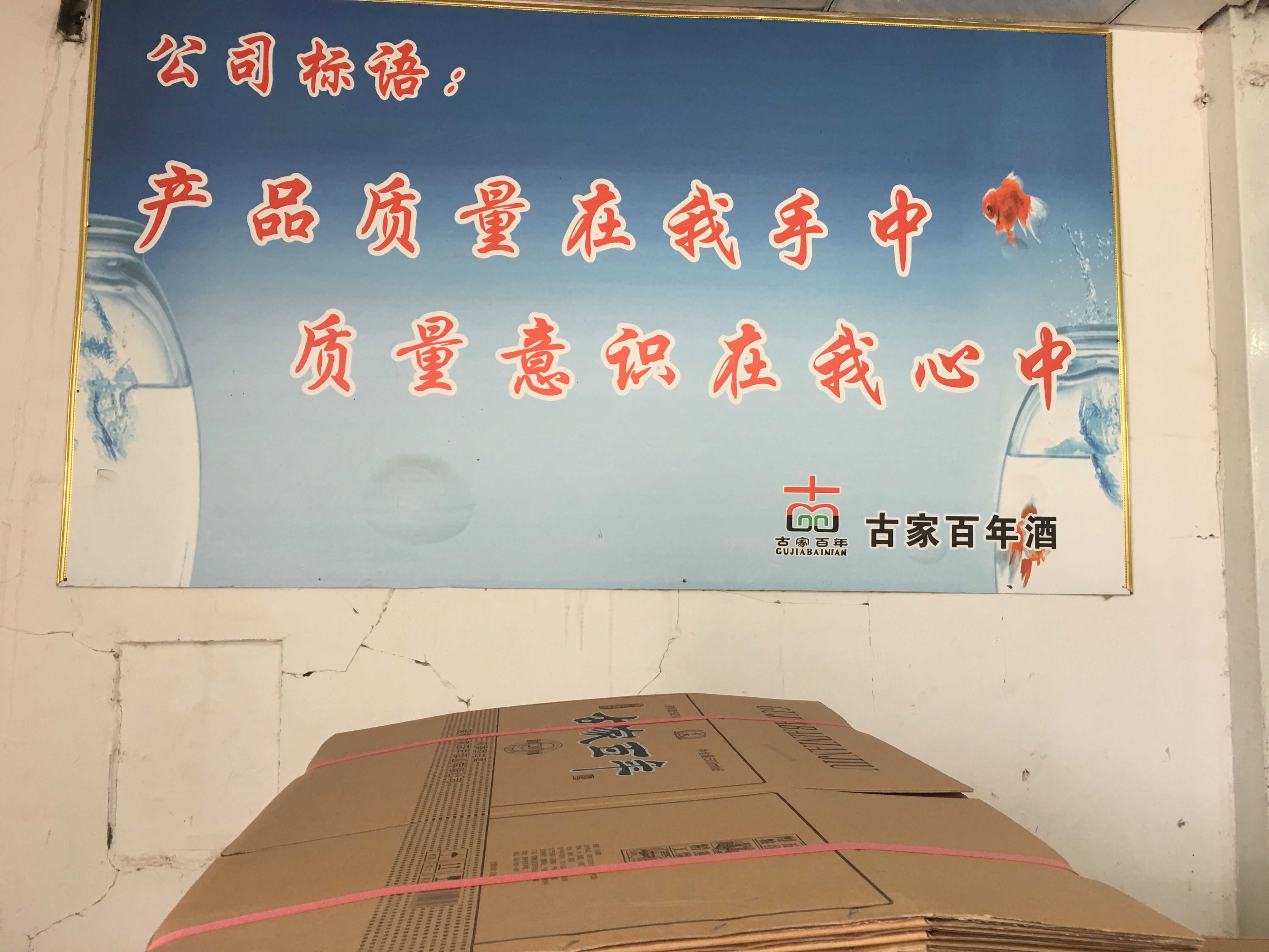 百年圖片/百年樣板圖 (4)