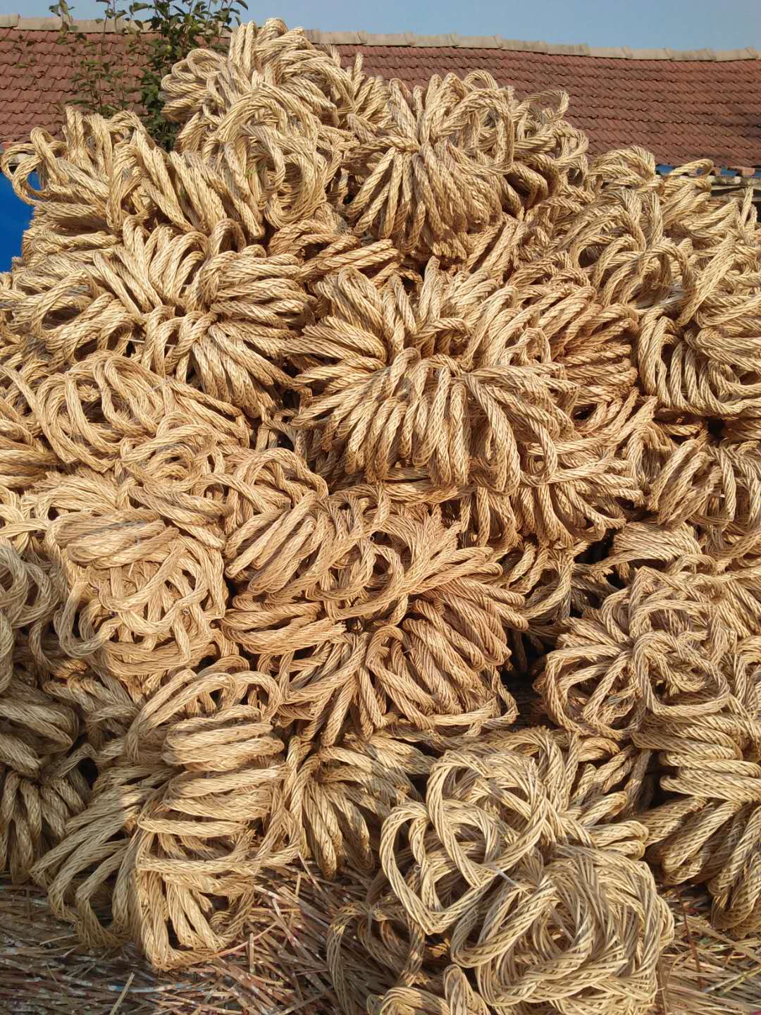 柳編亂纏球圖片/柳編亂纏球樣板圖 (4)