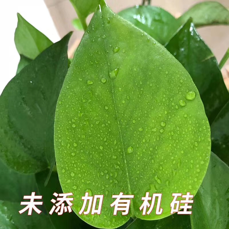 有機(jī)硅增效劑圖片/有機(jī)硅增效劑樣板圖 (3)