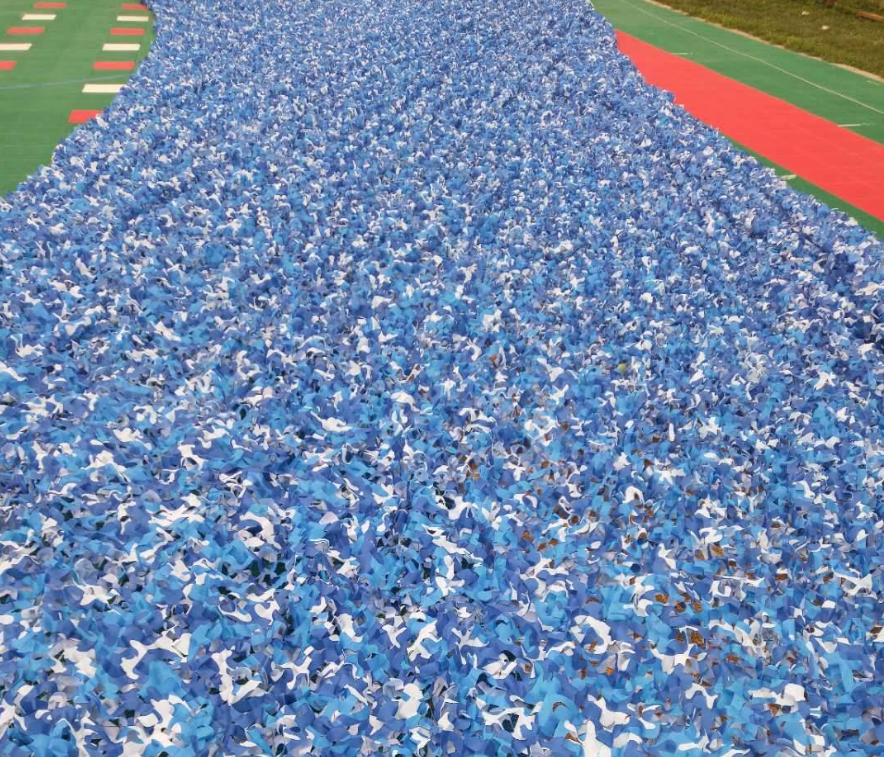 迷彩偽裝網(wǎng)廠家圖片/迷彩偽裝網(wǎng)廠家樣板圖 (4)