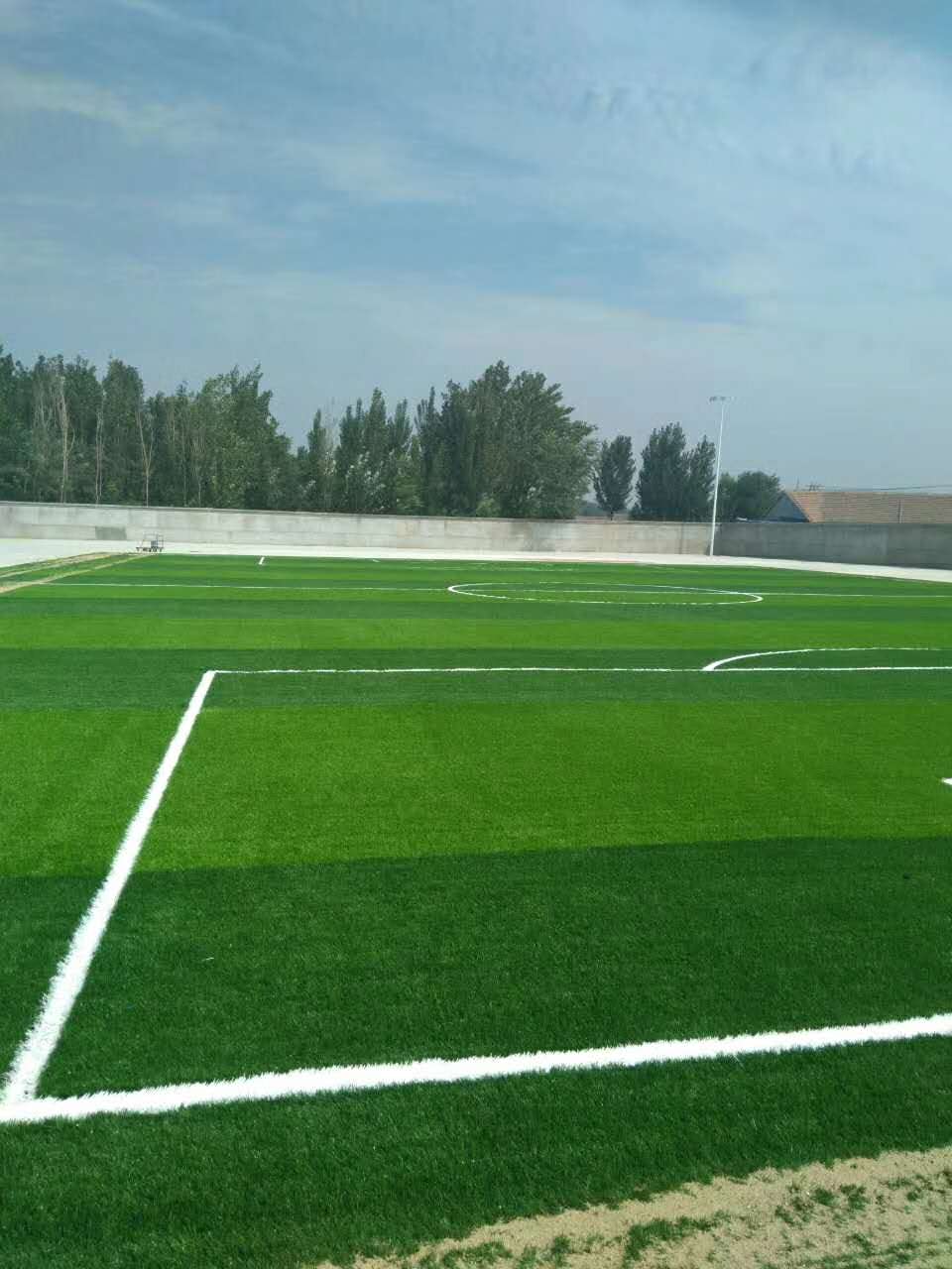 山東人造草坪足球場 山東德州人造草坪足球場