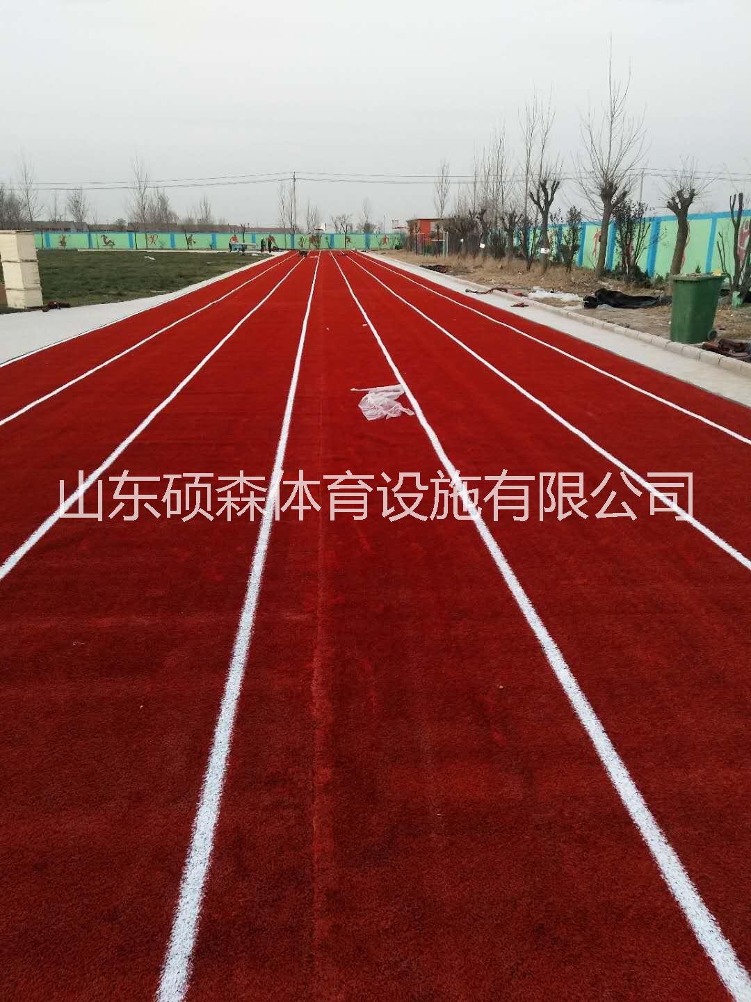 山東陵城區(qū)草坪跑道鋪設(shè)圖片/山東陵城區(qū)草坪跑道鋪設(shè)樣板圖 (3)