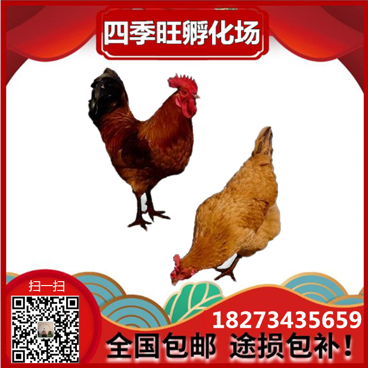 湖南孵化場(chǎng)圖片/湖南孵化場(chǎng)樣板圖 (3)