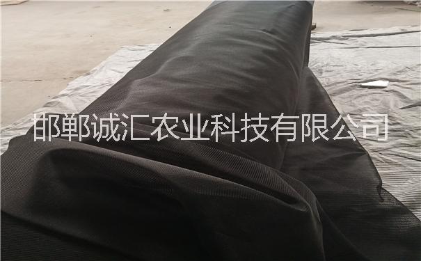 大棚遮陽系統(tǒng)圖片/大棚遮陽系統(tǒng)樣板圖 (3)