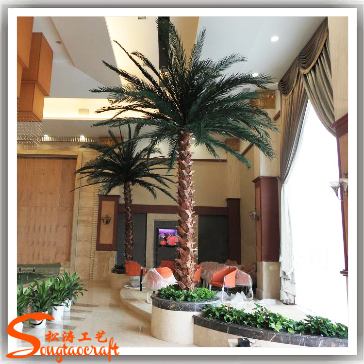 假棕櫚樹圖片/假棕櫚樹樣板圖 (3)