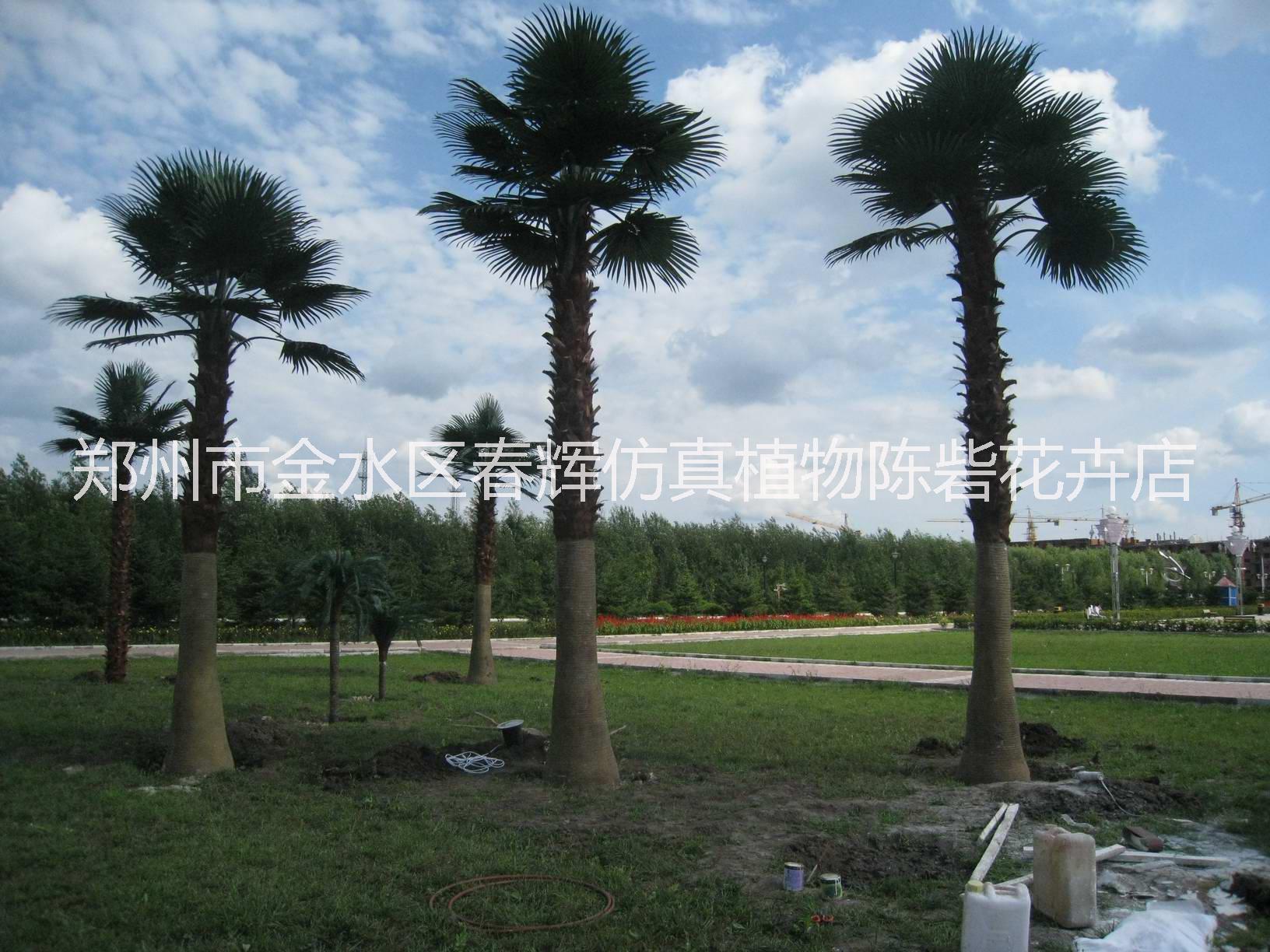 仿真棕櫚樹圖片/仿真棕櫚樹樣板圖 (4)