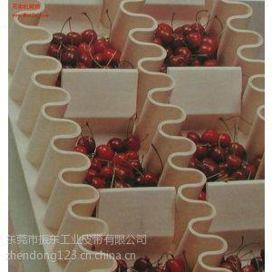食品級PU輸送帶廠家圖片/食品級PU輸送帶廠家樣板圖 (2)