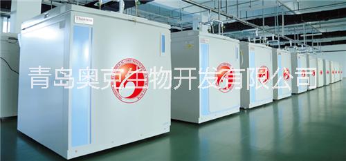 干細(xì)胞圖片/干細(xì)胞樣板圖 (4)