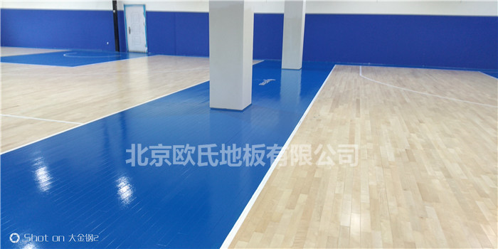 體育木地板圖片/體育木地板樣板圖 (1)