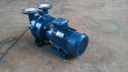 2BV水環(huán)式真空泵圖片/2BV水環(huán)式真空泵樣板圖 (3)