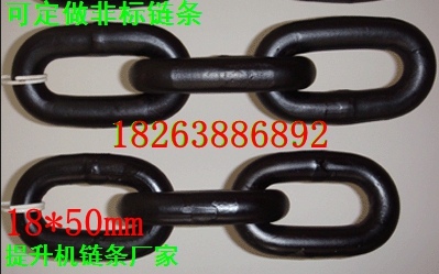 圓環(huán)鏈圖片/圓環(huán)鏈樣板圖 (4)
