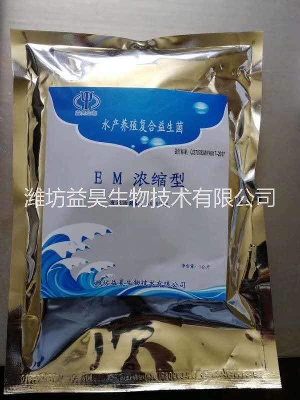 EM菌种图片