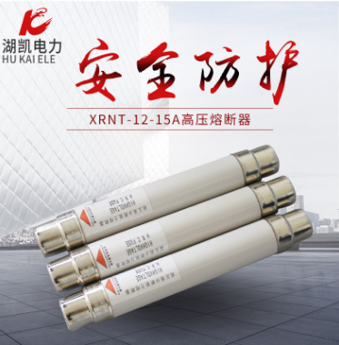 XRNT-10高压熔断器户内负荷开关专用熔芯厂家直销图片