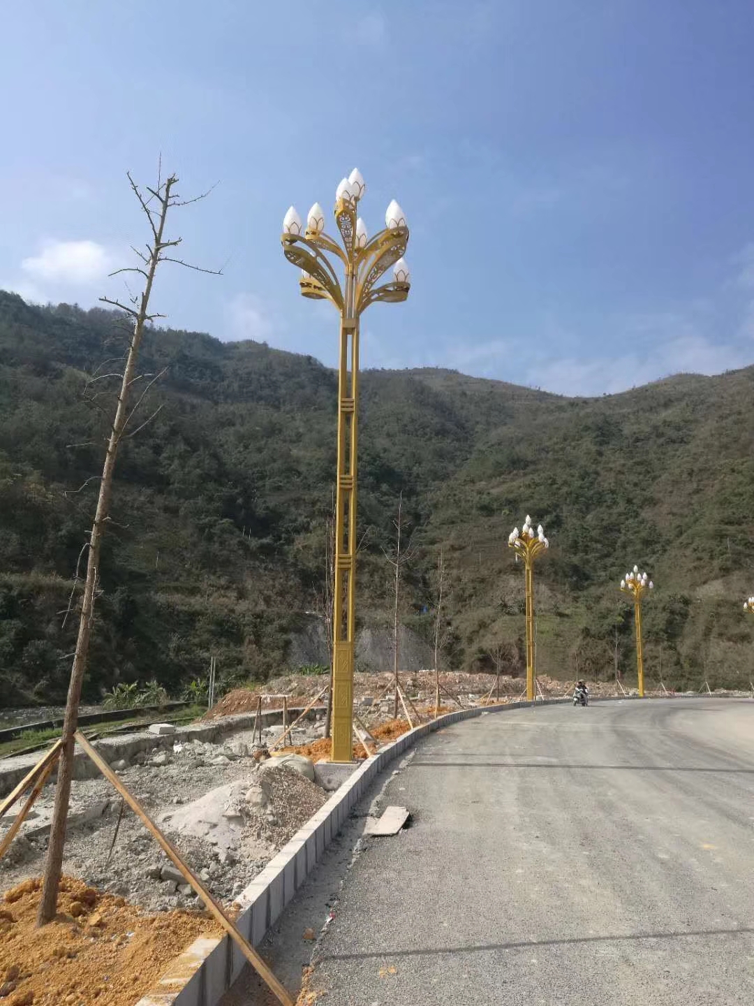 LED玉蘭燈庭院戶外燈中華道路燈圖片/LED玉蘭燈庭院戶外燈中華道路燈樣板圖 (4)
