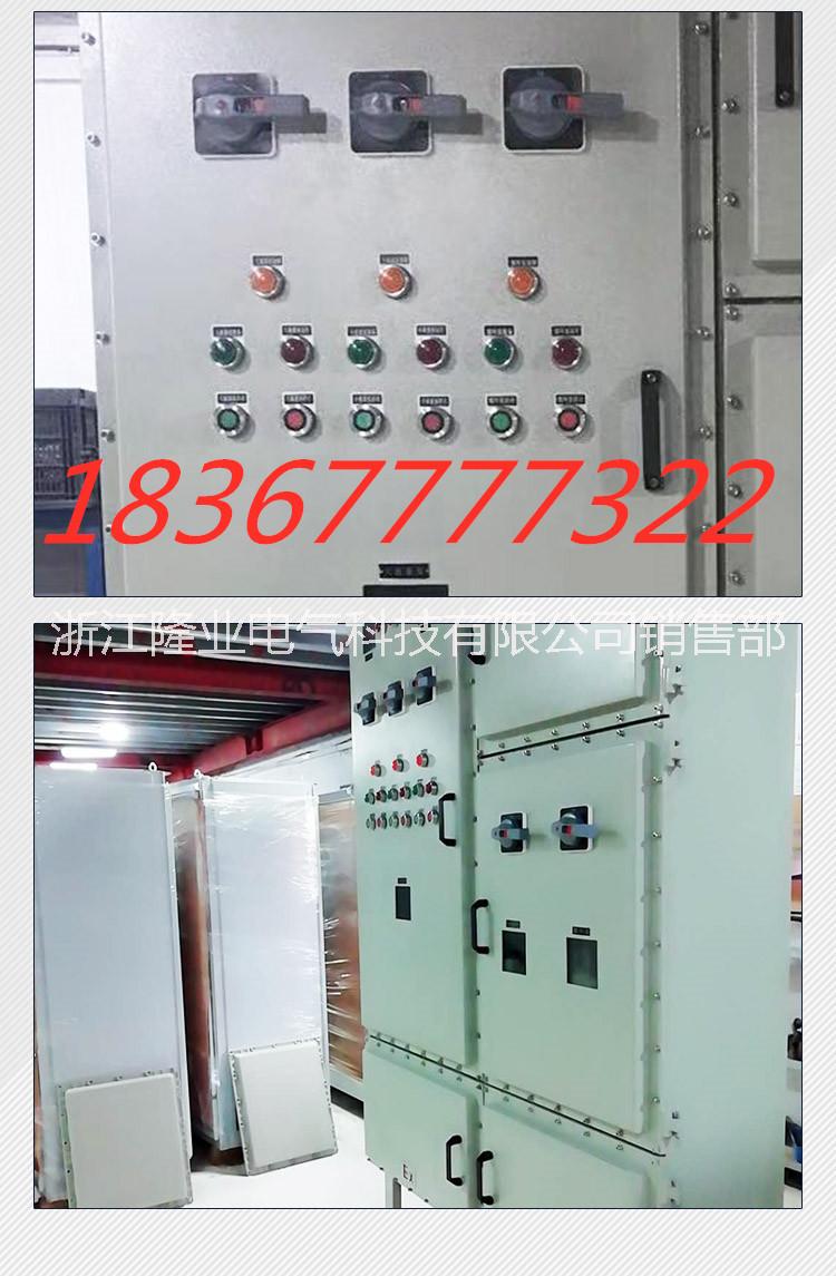 不銹鋼防爆配電箱圖片/不銹鋼防爆配電箱樣板圖 (4)